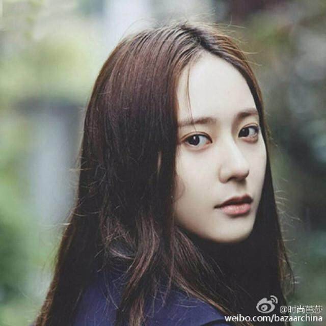 手枪玫瑰